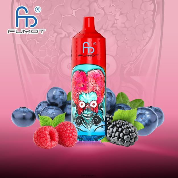 Fumot RandM Tornado 9000 pro vape zařízení s baterií a displejem ejuice verze 1 borůvka kyselá malina RandM vape supplier - 0244R191