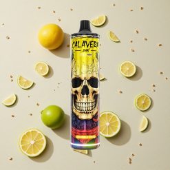 JNR Calavera 11000 Puffs Citrón a Limetka Typ-C nabíjecí port 850 mAh baterie 21ml náplň