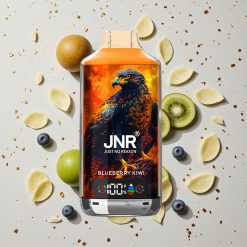 JNR Falcon X 18000 Puffs Jednorázová Vape Borůvka Kiwi 750mAh 24ml